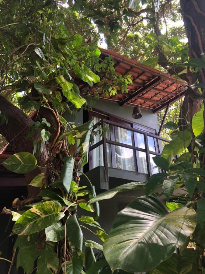 Kuara Pipa Hotel Praia de Pipa Exterior foto